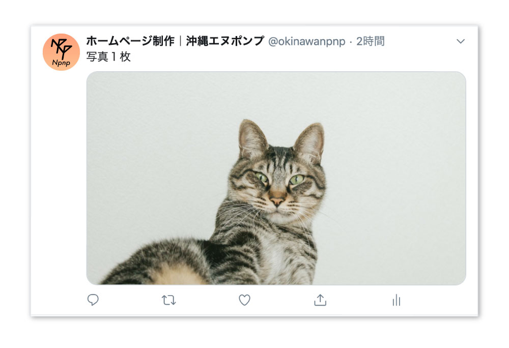 解説 Twitterで画像投稿するときの最適な比率と画像の見え方 ホームページ制作 Webサイト制作なら沖縄エヌポンプにお任せ